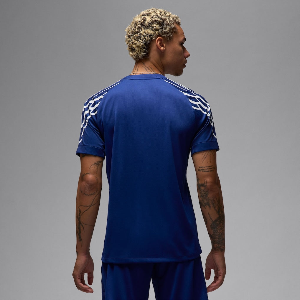 PSG Jordan Fourth 2024-25