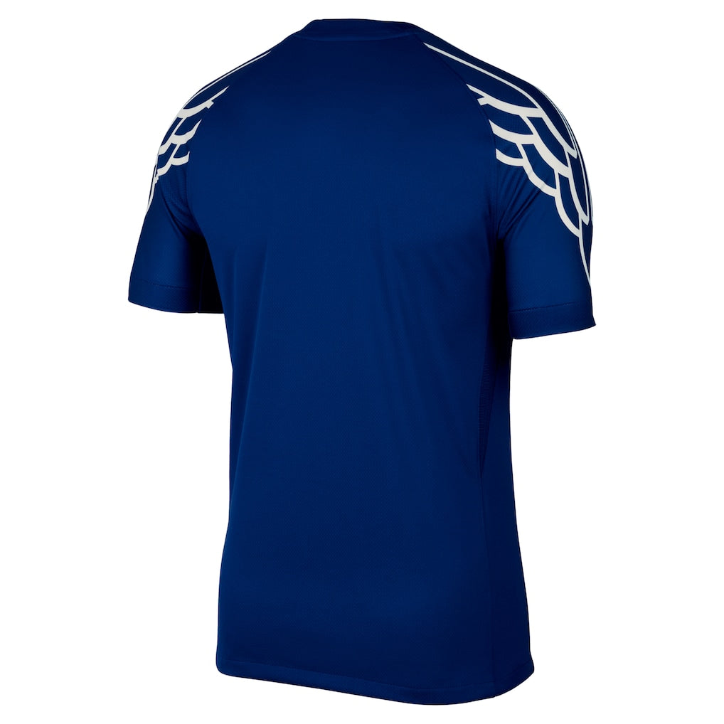 PSG Jordan Fourth 2024-25